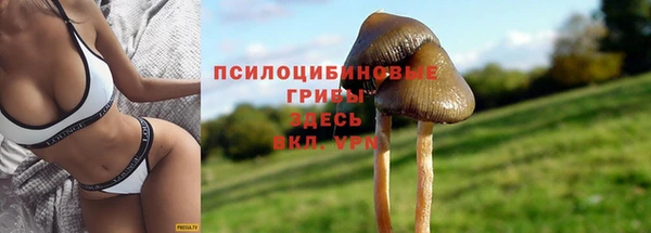 гашишное масло Арсеньев